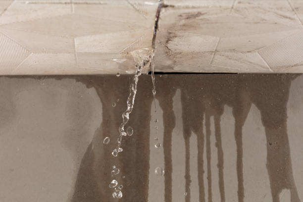 Professional Structural Drying technician working in Edgewater, FL
